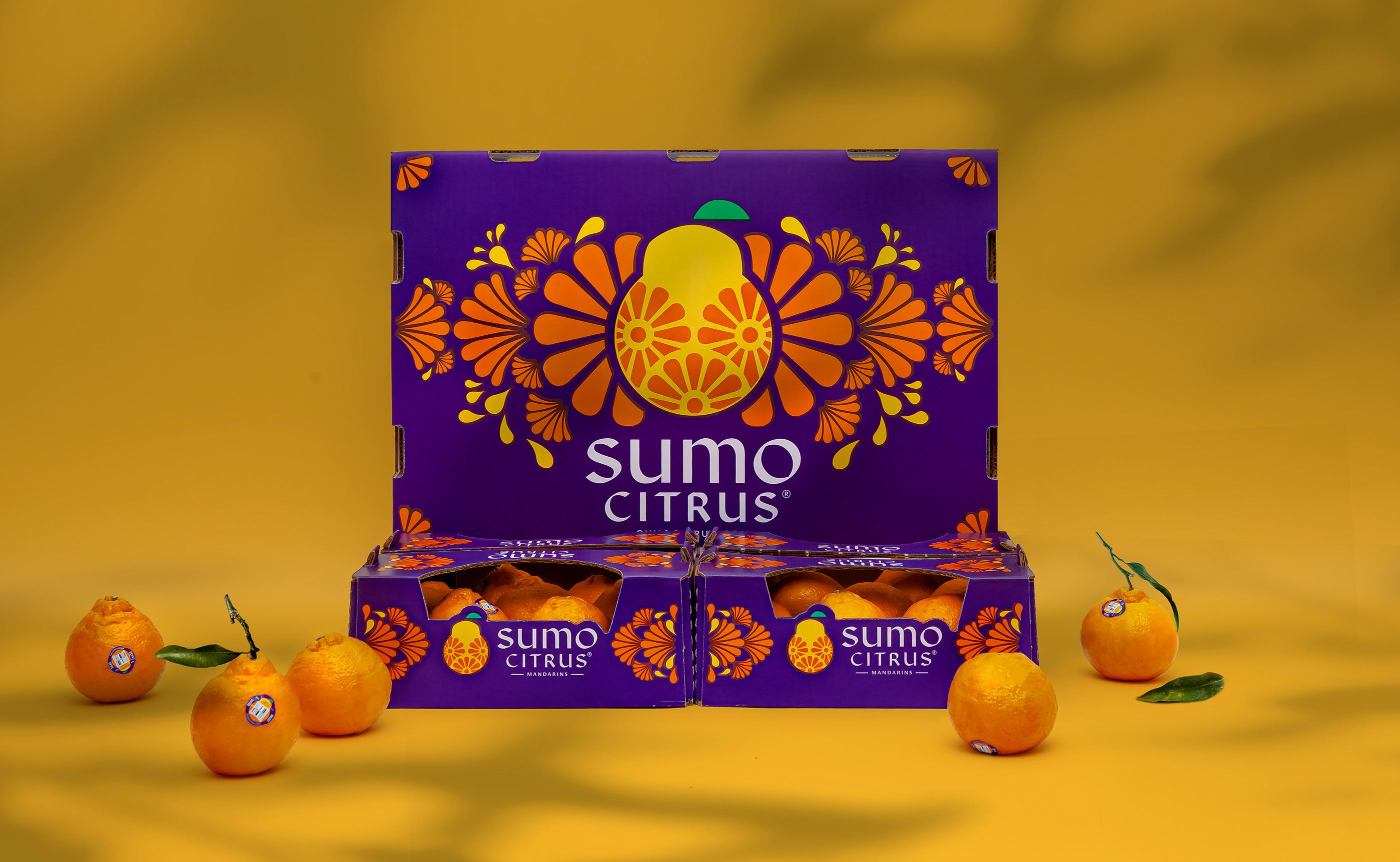 外国柑橘包装设计 柑橘包装设计哪家好 柑橘包装设计公司 第1张