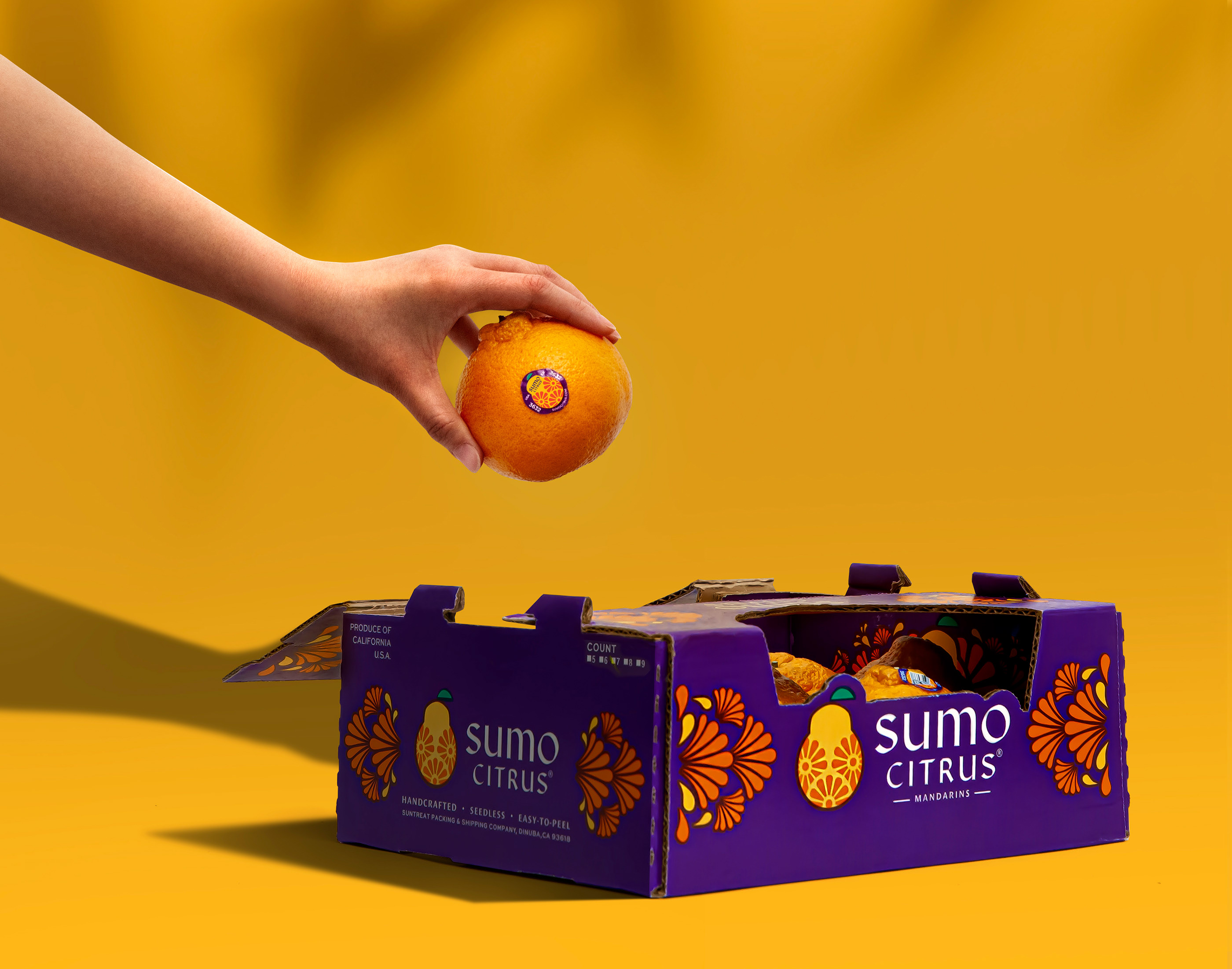 外国柑橘包装设计 柑橘包装设计哪家好 柑橘包装设计公司 第2张