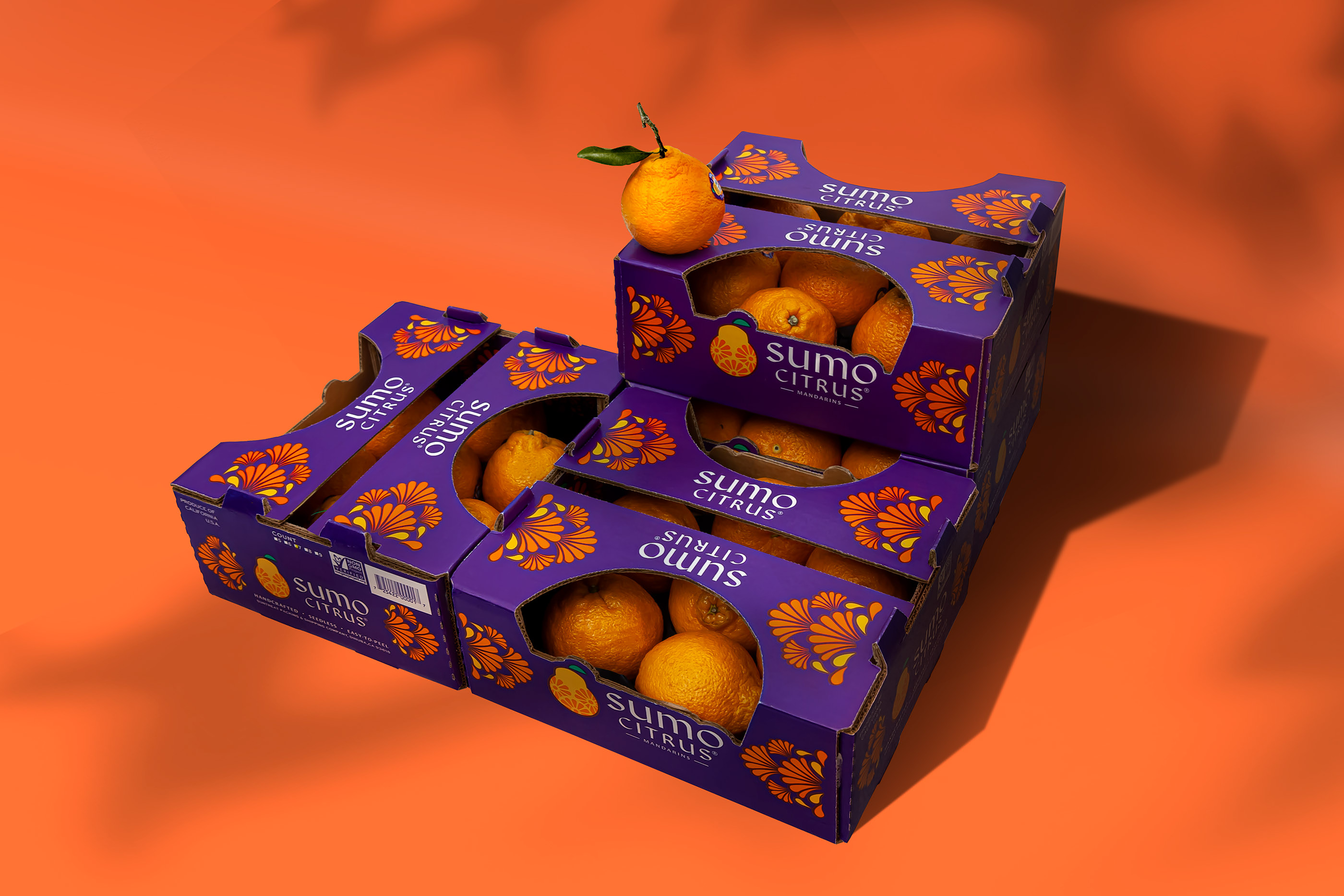 外国柑橘包装设计 柑橘包装设计哪家好 柑橘包装设计公司 第5张