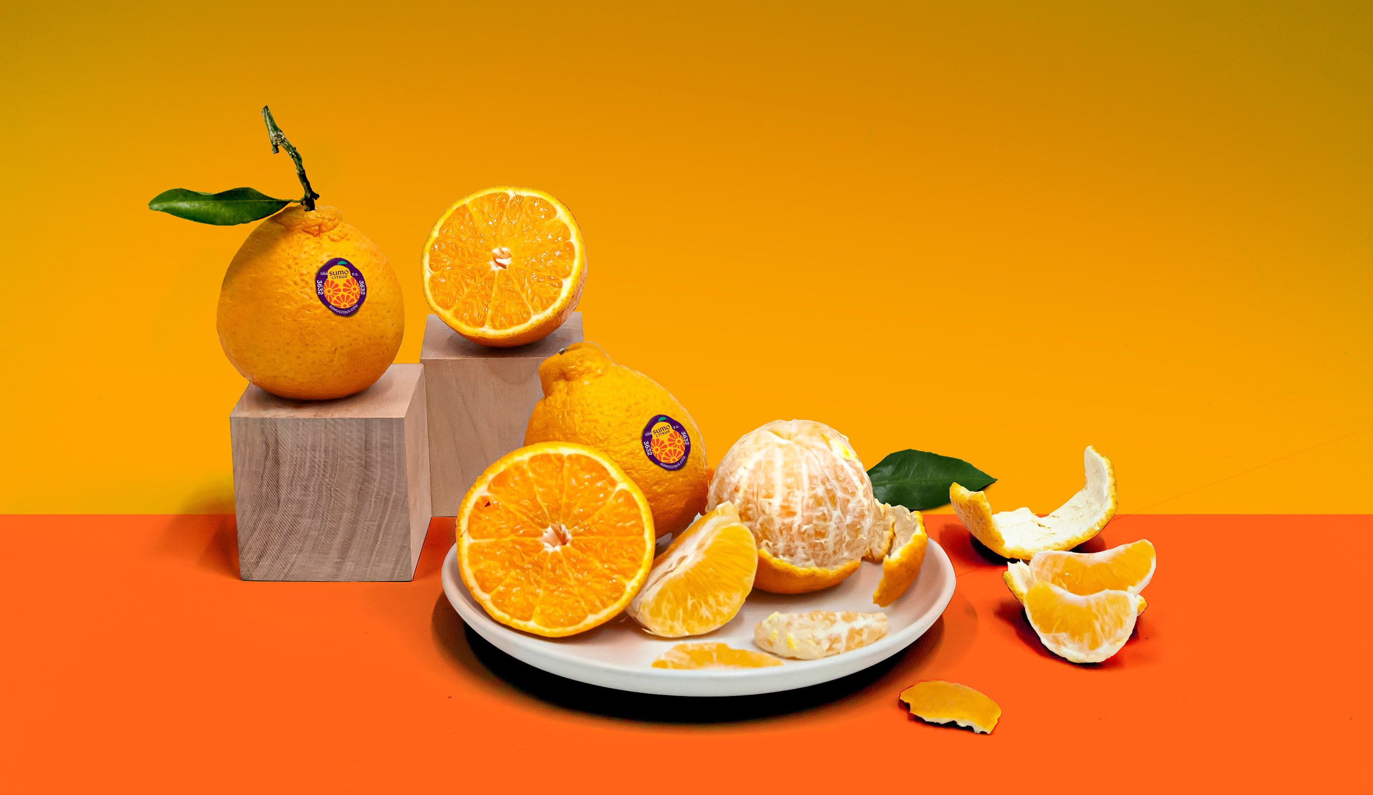外国柑橘包装设计 柑橘包装设计哪家好 柑橘包装设计公司 第6张