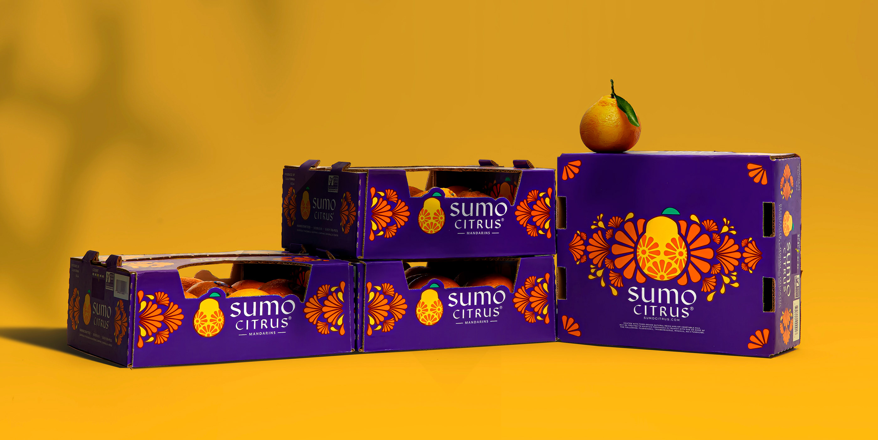 外国柑橘包装设计 柑橘包装设计哪家好 柑橘包装设计公司 第8张
