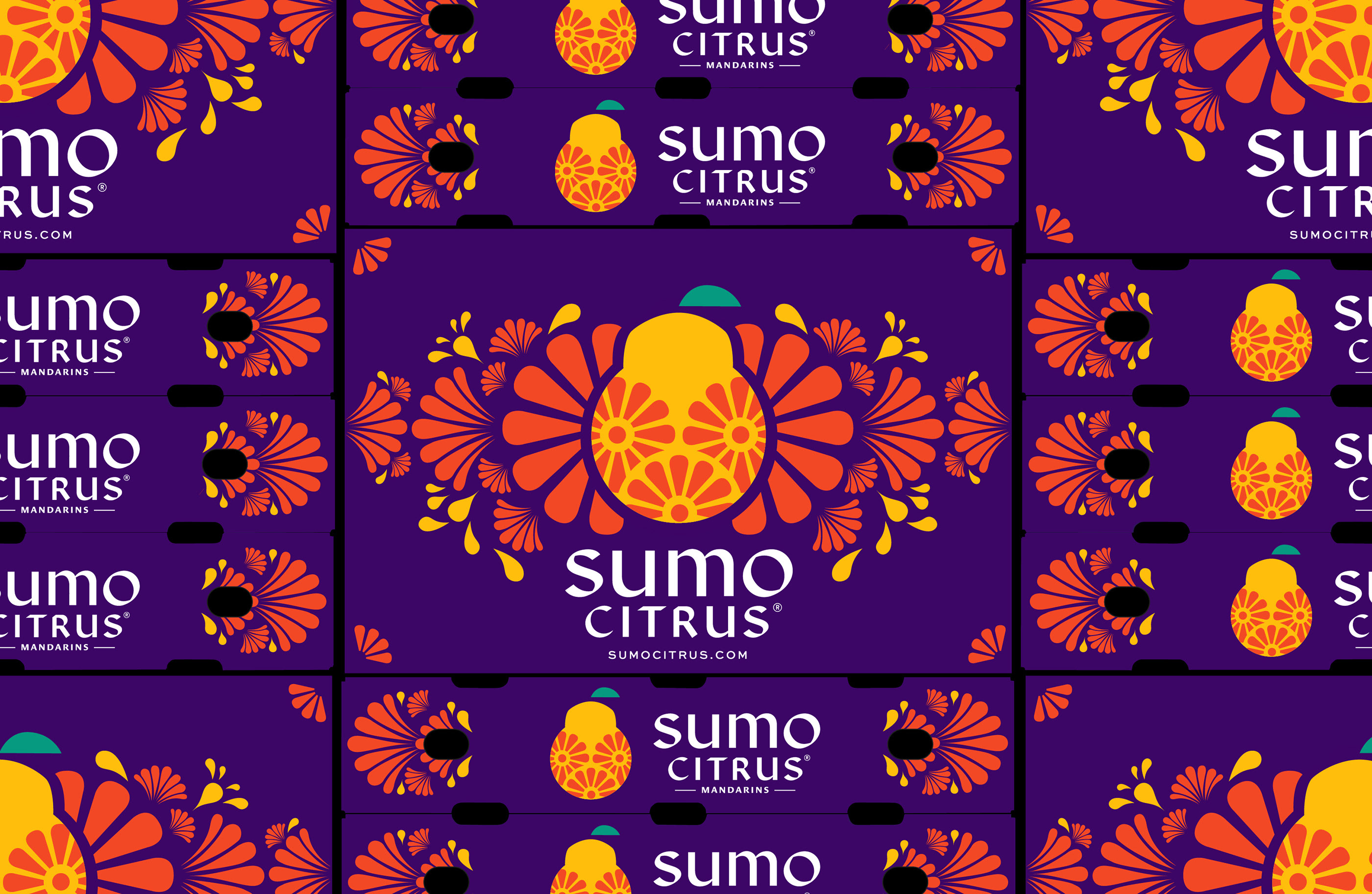 外国柑橘包装设计 柑橘包装设计哪家好 柑橘包装设计公司 第9张