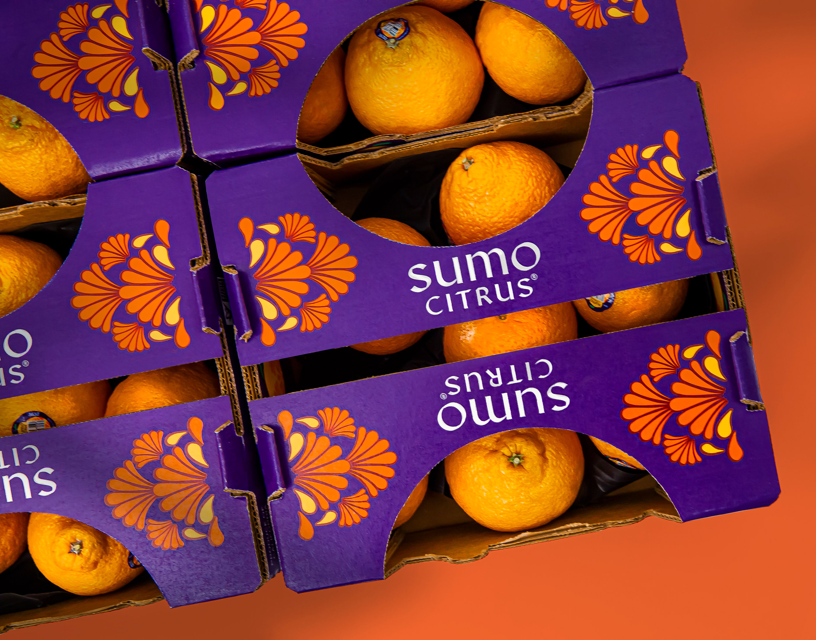 外国柑橘包装设计 柑橘包装设计哪家好 柑橘包装设计公司 第10张