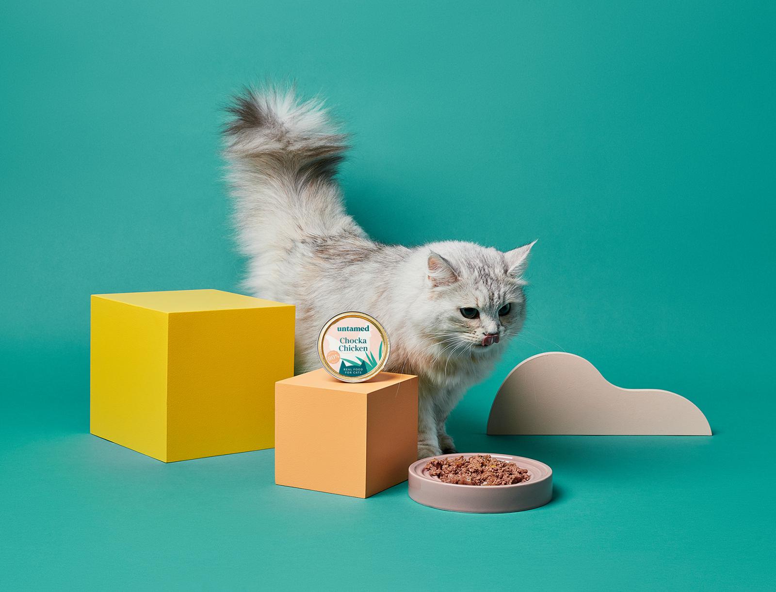 猫粮包装设计 猫粮包装设计哪家好 上海猫粮包装设计公司 宠物食品包装设计公司 第3张